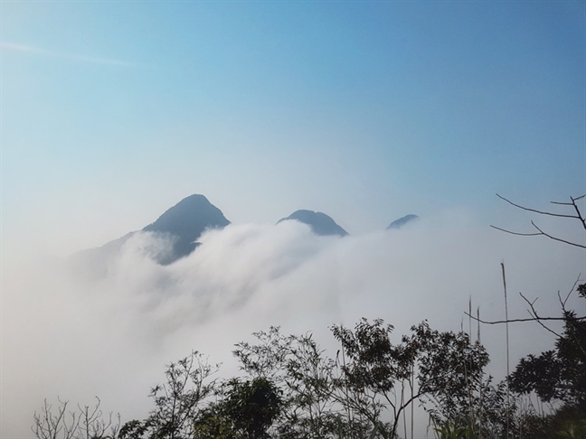 Thuê[-]385,5ha[-]rừng[-]quốc[-]gia,[-]chỉ[-]dùng[-]dưới[-]50ha[-]là[-]"nghệ[-]thuật[-]lách[-]luật"